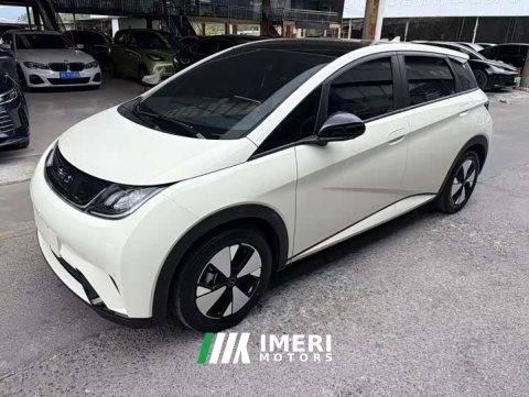 2023 BYD Dolphin 2024 Glory Edition 420km Fashion Version - ავტომობილი ჩინეთიდან