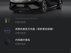 Lotus EMEYA 600 Luxury - ფოტო 10