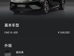 Lotus EMEYA 600 Luxury - ფოტო 13