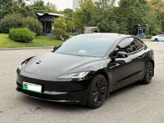 Tesla Model 3 Rear-Wheel Drive - ფოტო 1
