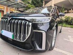 Voyah Lantu Dreamchaser Low Carbon Edition Family - ფოტო 4