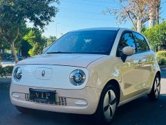 ORA Black Cat 301km Cute Pet Edition LFP Battery - ფოტო 1