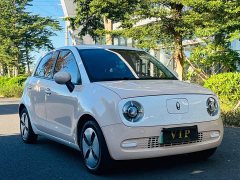 ORA Black Cat 301km Cute Pet Edition LFP Battery - ფოტო 3