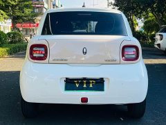 ORA Black Cat 301km Cute Pet Edition LFP Battery - ფოტო 8