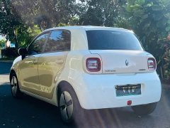 ORA Black Cat 301km Cute Pet Edition LFP Battery - ფოტო 9