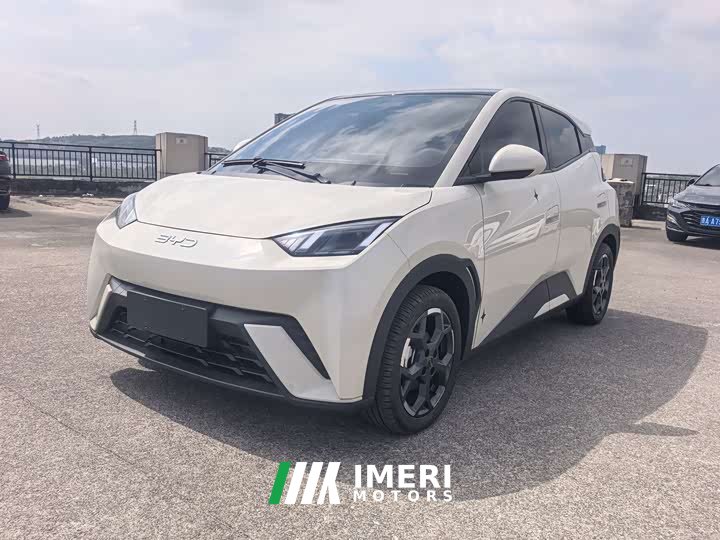BYD Seagull 305km Freedom Edition - ავტომობილი ჩინეთიდან