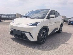 BYD Seagull 305km Freedom Edition - ფოტო 1