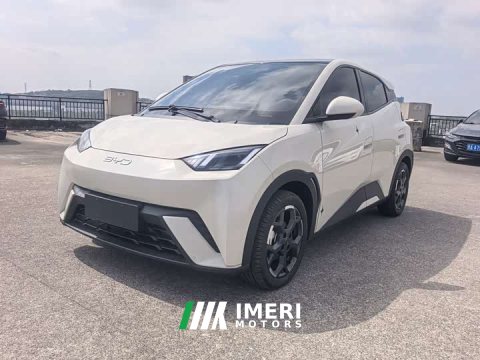 2025 BYD Seagull 305km Freedom Edition - ავტომობილი ჩინეთიდან