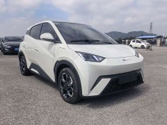 BYD Seagull 305km Freedom Edition - ფოტო 3