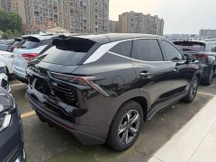 Jetour Jietu Dasheng 1.5T DCT Starlight PRO - ფოტო 15