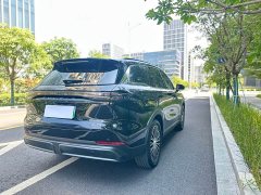Chery Fengyun T9 2024 120 Long Range Luxury 5-Seater LFP - ფოტო 6