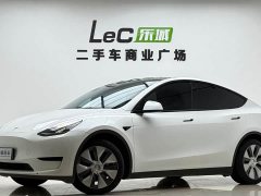 Tesla Model Y Rear-Wheel Drive - ფოტო 1