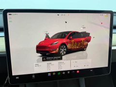 Tesla Model Y Rear-Wheel Drive - ფოტო 6