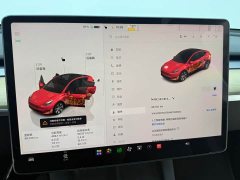 Tesla Model Y Rear-Wheel Drive - ფოტო 7