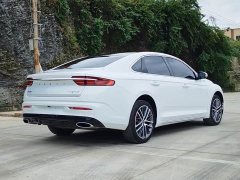 Geely Xingrui 2.0T Diesel Premium Edition - ფოტო 15