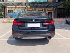 BMW 5 Series 530Li Premier M Sport Package - ფოტო 18