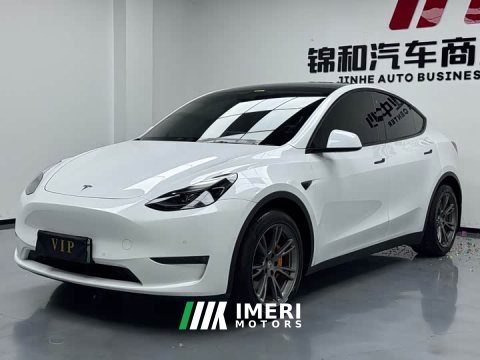 2021 Tesla Model Y Standard Range RWD - ავტომობილი ჩინეთიდან