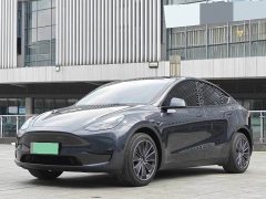 Tesla Model Y Rear-Wheel Drive - ფოტო 1