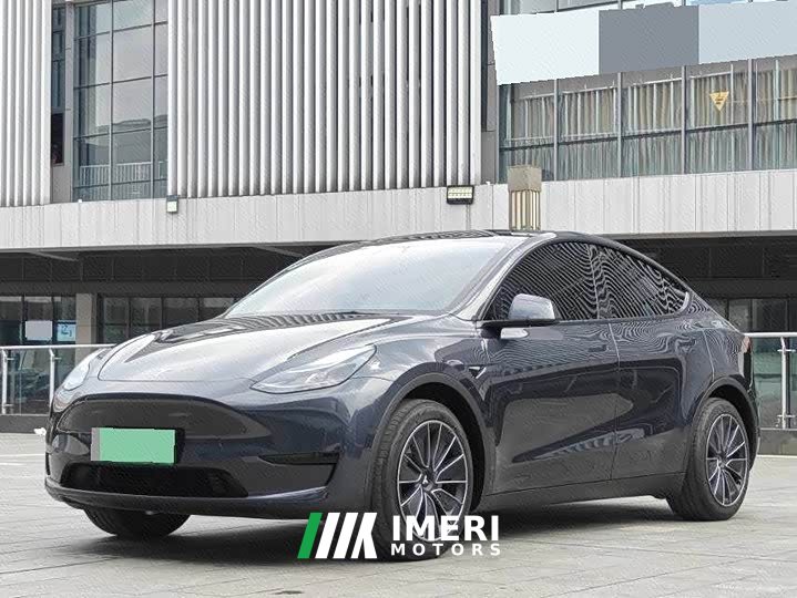 Tesla Model Y Rear-Wheel Drive
