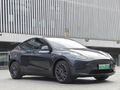 Tesla Model Y Rear-Wheel Drive - ფოტო 3