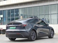 Tesla Model Y Rear-Wheel Drive - ფოტო 7
