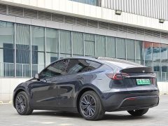 Tesla Model Y Rear-Wheel Drive - ფოტო 9