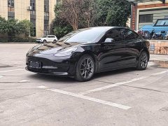 Tesla Model 3 Standard Range RWD Upgrade - ფოტო 1