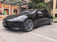 Tesla Model 3 Standard Range RWD Upgrade - ფოტო 4