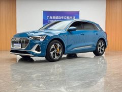 Audi e-tron 2021 50 quattro Premium - ფოტო 1
