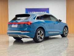 Audi e-tron 2021 50 quattro Premium - ფოტო 5