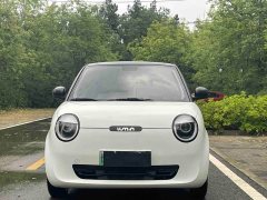 Changan Lumin 2023 205km Xiangqin Edition - ფოტო 2