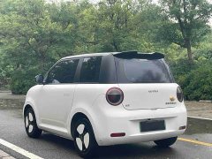 Changan Lumin 2023 205km Xiangqin Edition - ფოტო 6