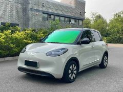Wuling Binguo 333km Joy Edition - ფოტო 1