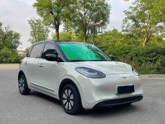 Wuling Binguo 333km Joy Edition - ფოტო 19