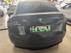 Tesla Model Y 2024 Rear-Wheel Drive - ფოტო 11