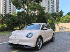 ORA Good Cat 401km Deluxe 135kW - ფოტო 1