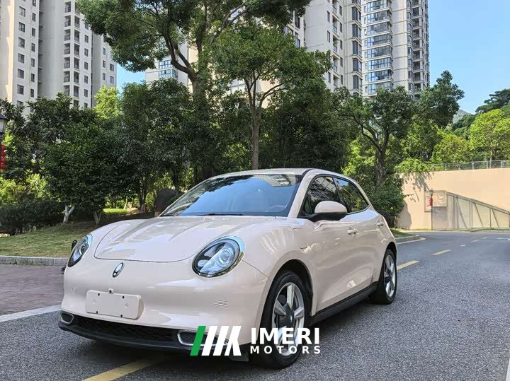 ORA Good Cat 401km Deluxe 135kW