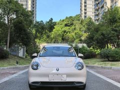 ORA Good Cat 401km Deluxe 135kW - ფოტო 2