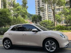 ORA Good Cat 401km Deluxe 135kW - ფოტო 3