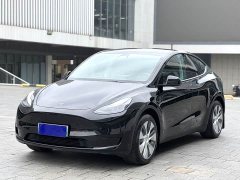 Tesla Model Y Rear-Wheel Drive - ფოტო 1