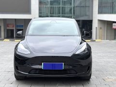 Tesla Model Y Rear-Wheel Drive - ფოტო 2