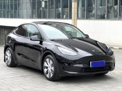 Tesla Model Y Rear-Wheel Drive - ფოტო 3