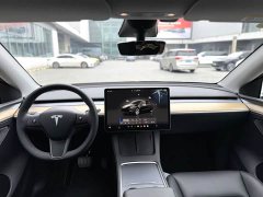 Tesla Model Y Rear-Wheel Drive - ფოტო 6