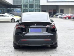 Tesla Model Y Rear-Wheel Drive - ფოტო 8