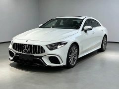 Mercedes-Benz CLS 300 Dynamic - ფოტო 1