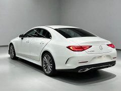 Mercedes-Benz CLS 300 Dynamic - ფოტო 12