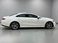 Mercedes-Benz CLS 300 Dynamic - ფოტო 13
