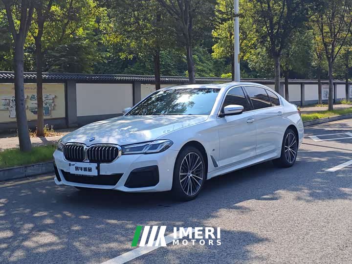 BMW 5 Series 530Li Premier M Sport Package - ავტომობილი ჩინეთიდან