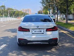 BMW 5 Series 530Li Premier M Sport Package - ფოტო 5