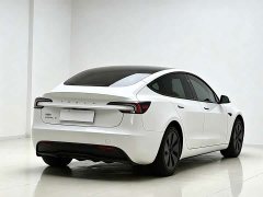 Tesla Model 3 2023 Rear-Wheel Drive - ფოტო 4